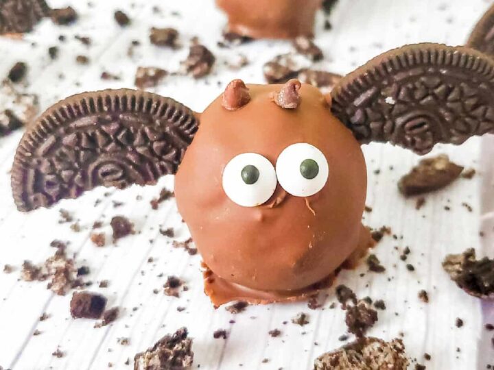 Image for Bat Truffles
