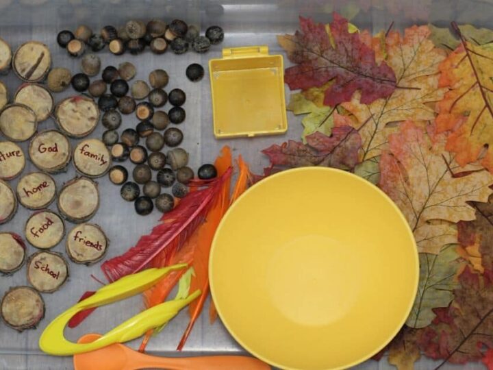 Image for Easy Thanksgiving and Fall Sensory Bin