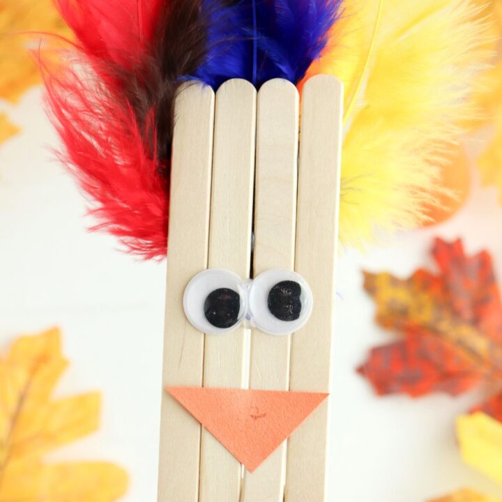 how to make a popsicle stick turkey