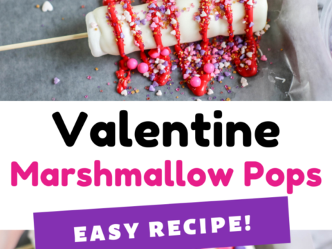 Image for Chocolate Covered Marshmallow Pops