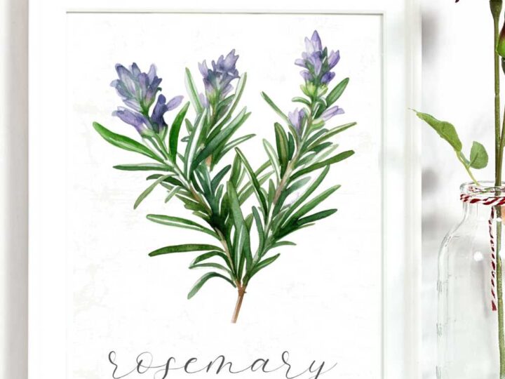 free printable farmhouse botanical signs