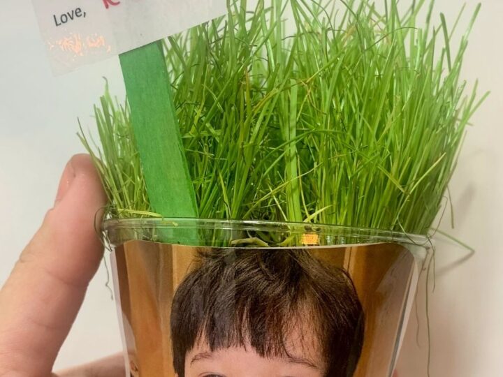 Image for DIY Grass Head Photo Planter 