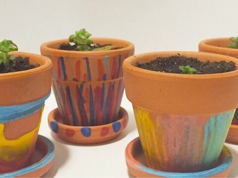 Image for Decorated Terracotta Pots