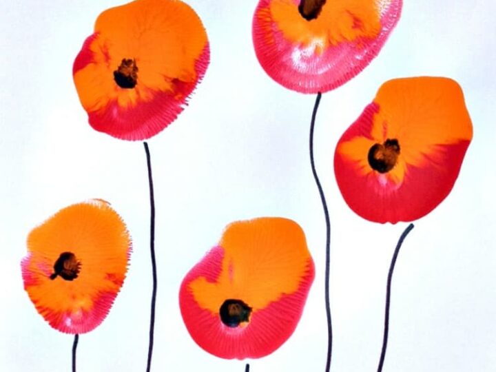 Image for Painting Poppy Flowers with Balloons