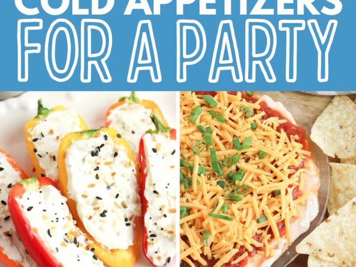 NO BAKE APPETIZERS
