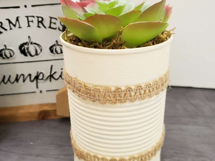 Image for Cute Upcycled Succulent Planter Farmhouse Craft