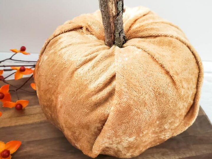 Image for DIY Easy No Sew Velvet Pumpkin Craft Tutorial