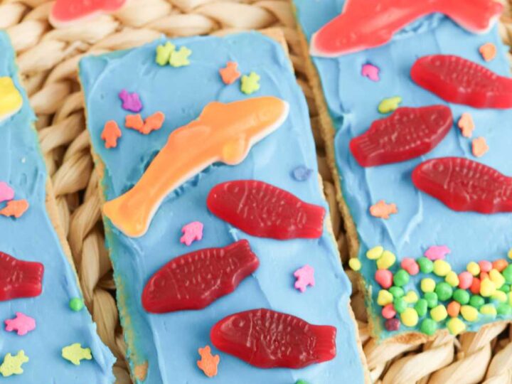 beach decorated graham crackers