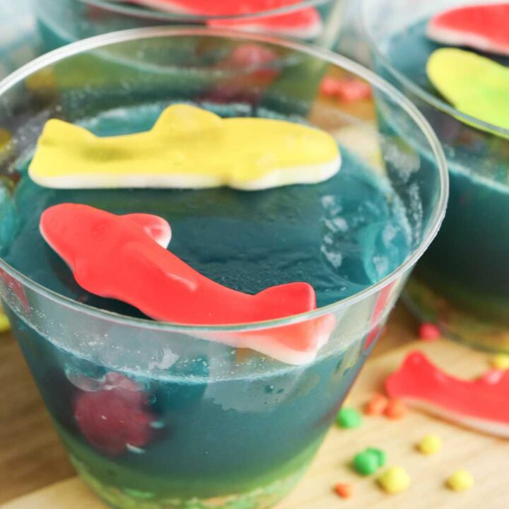 ocean themed dessert for a party