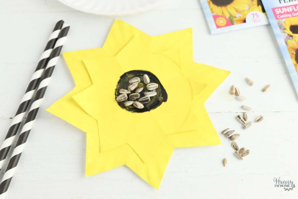 sunflower craft with seeds