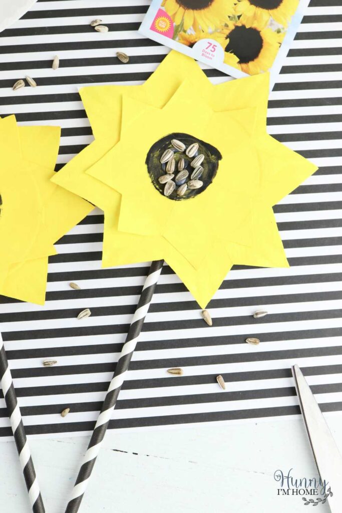 sunflower seed craft