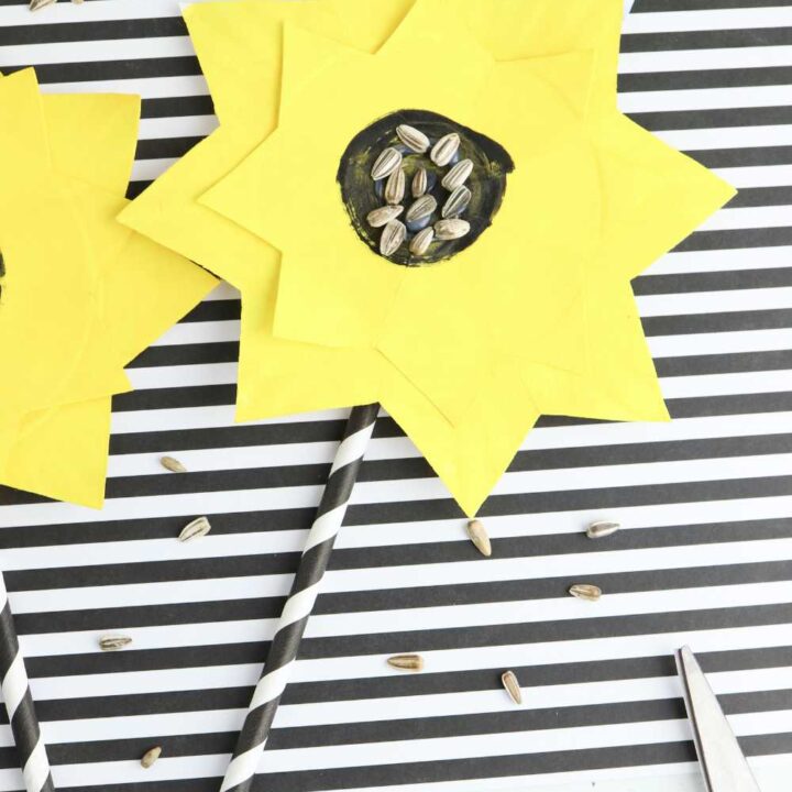 sunflower seed craft