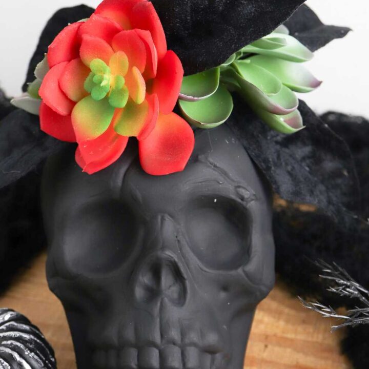DIY skull succulent planter