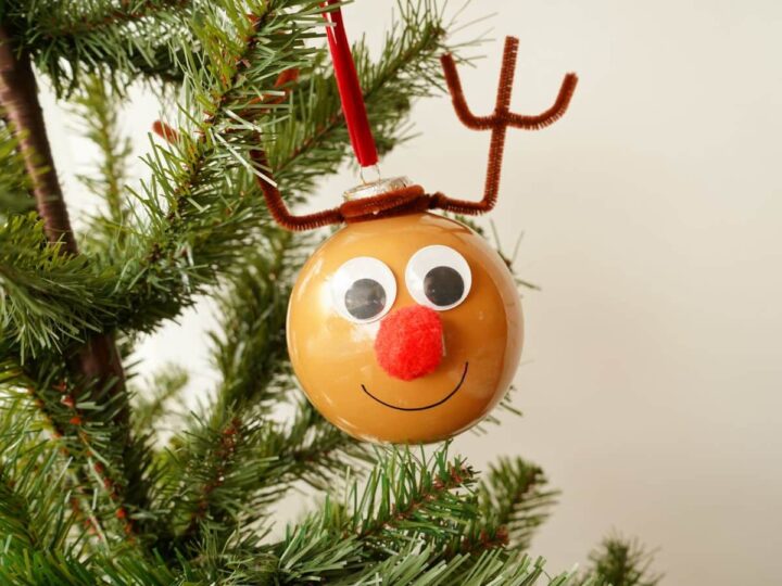 Image for Cute Reindeer Ornament Craft
