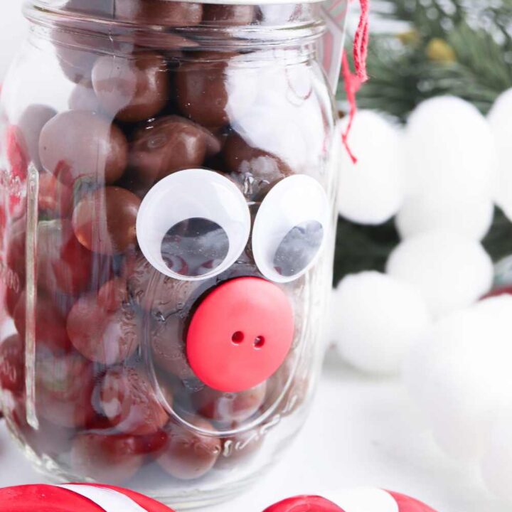 reindeer noses christmas gift