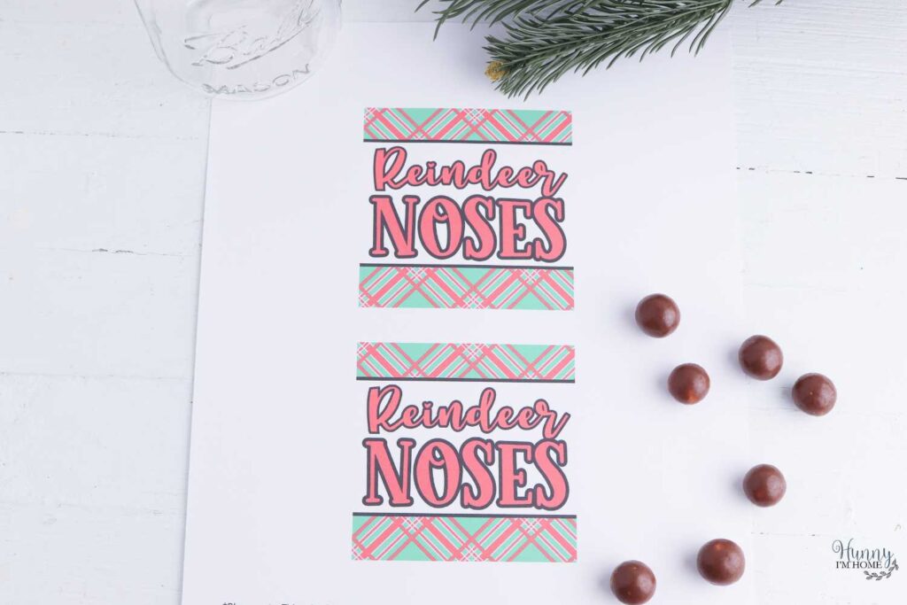 reindeer noses gift tag