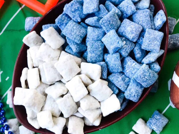 Image for Indianapolis Colts Puppy Chow