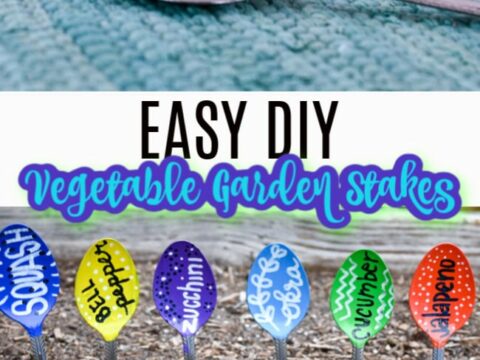 Image for DIY Vegetable Garden Stakes
