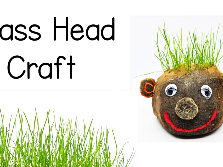 Image for How to Make Grass Head Plants