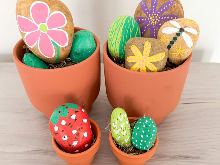 Image for Easy Flower Painted Rocks: A Beginner’s Guide to Creating Beautiful Designs