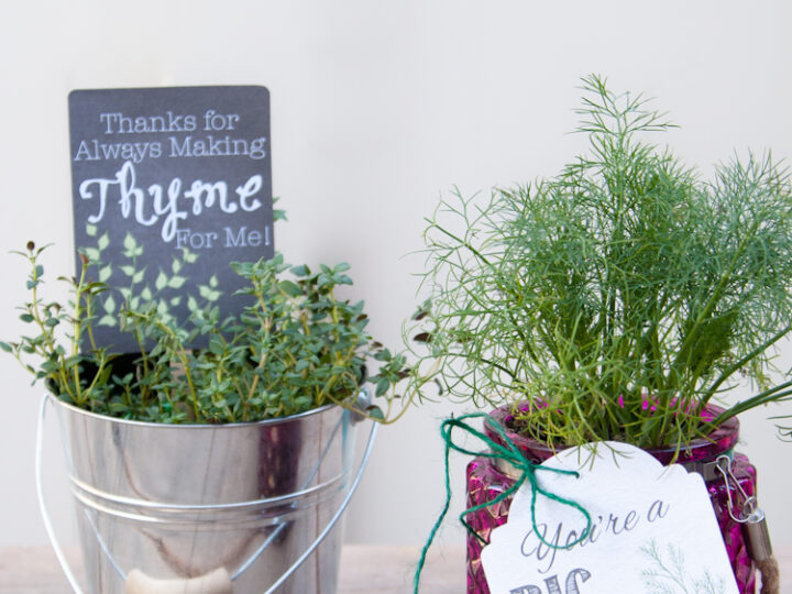 Image for Potted Herb DIY Gifts with Printable Tags