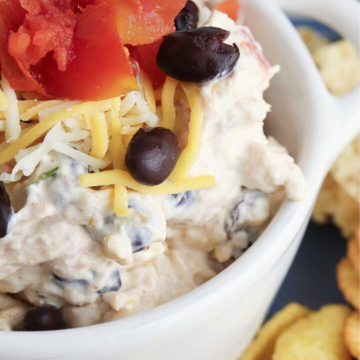 chicken taco dip recipe
