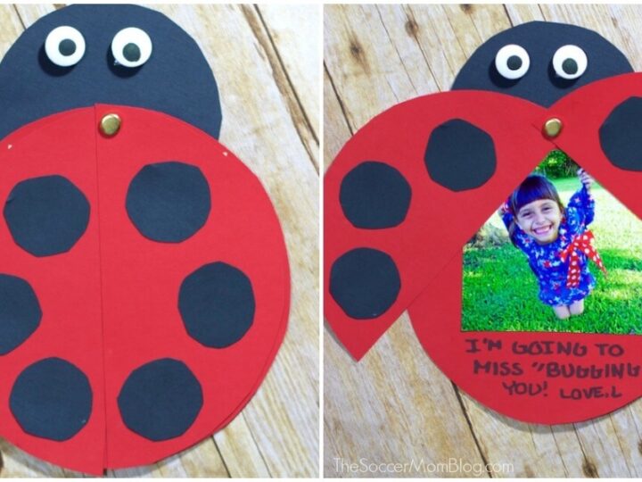 Image for Ladybug Teacher Thank You Card 