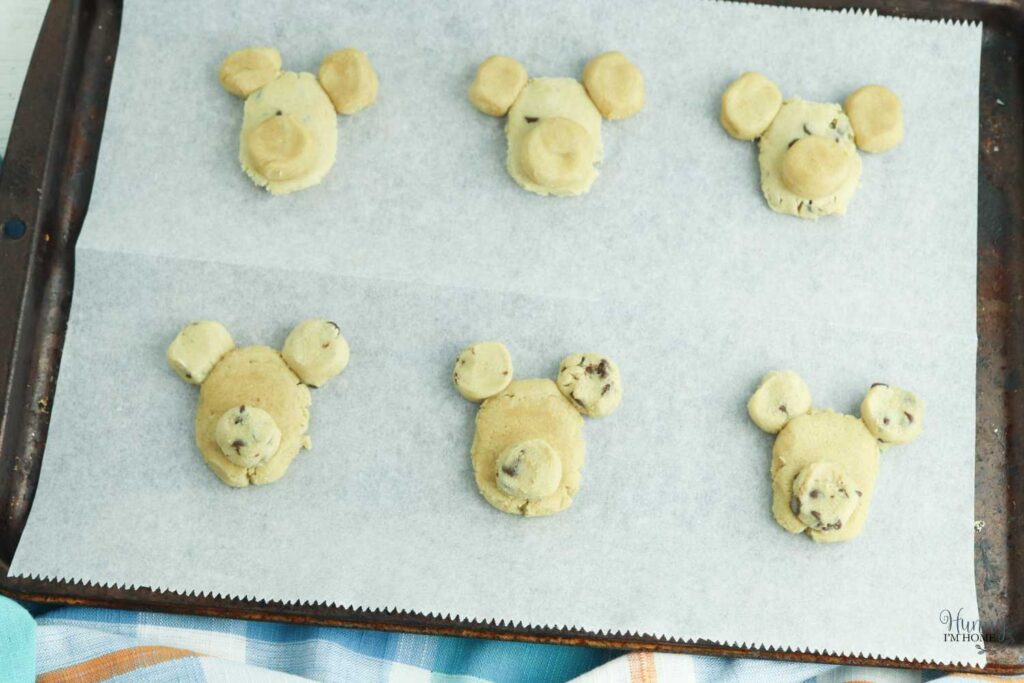dog chocolate chip cookies