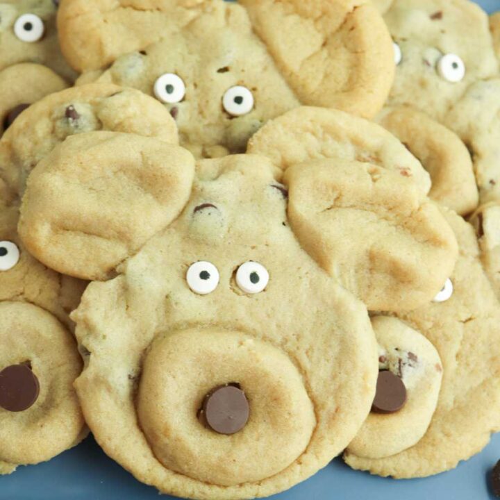dog party cookies