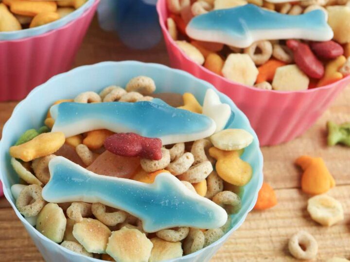ocean trail mix ideas