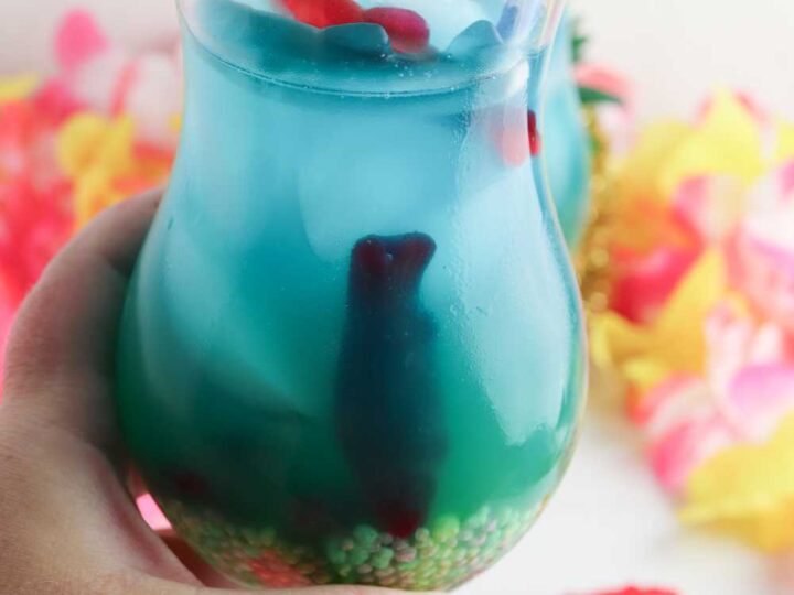 shark punch