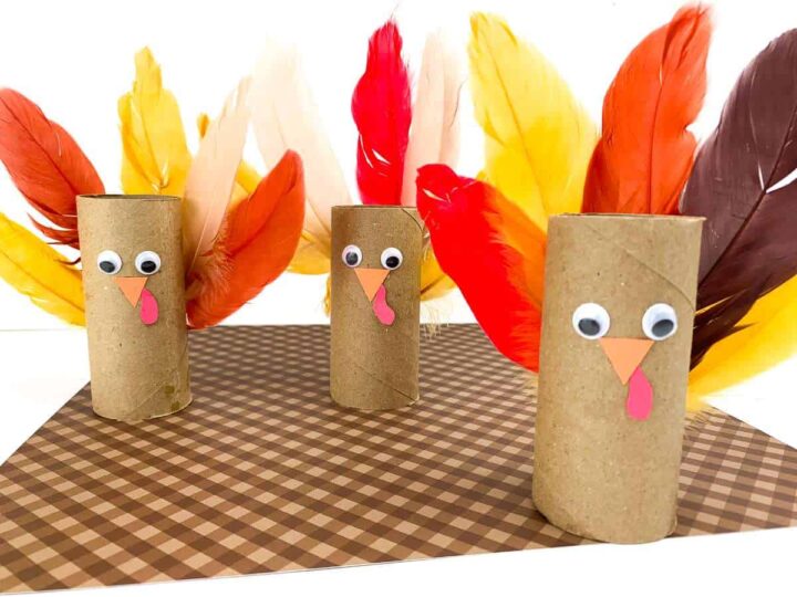 Image for Cute Toilet Paper Roll Turkey Craft