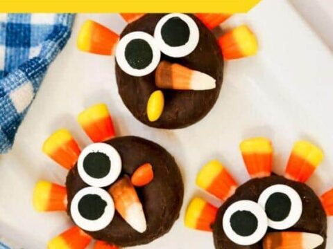 Image for DELIGHTFUL TURKEY MINI DONUTS
