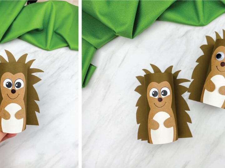 Image for Hedgehog Toilet Paper Roll Craft