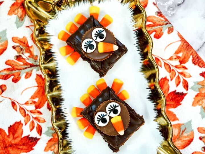 Image for Cute Thanksgiving Turkey Brownies for Kids