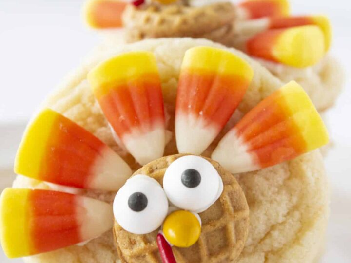 Image for Easy Thanksgiving Turkey Cookies | Practically Homemade