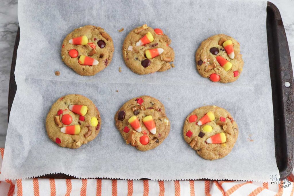 easy thanksgiving cookies