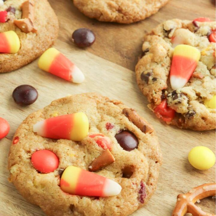 thanksgiving cookies