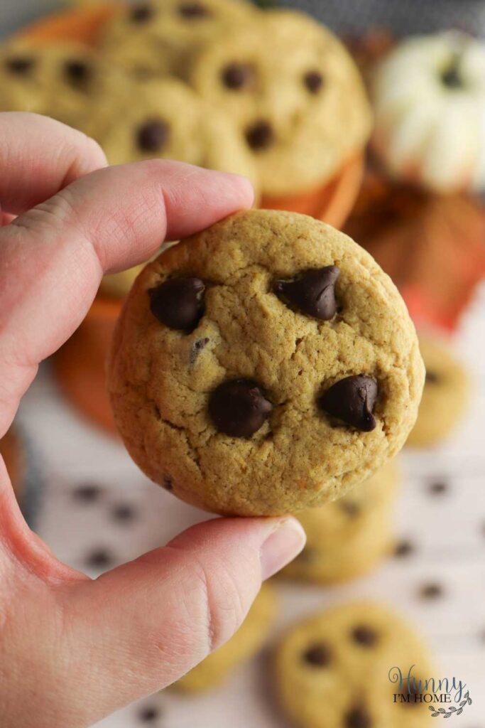 pumpkin chocolate chip cookie recipe