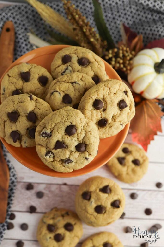 pumpkin cookie recipe with chocolate chips