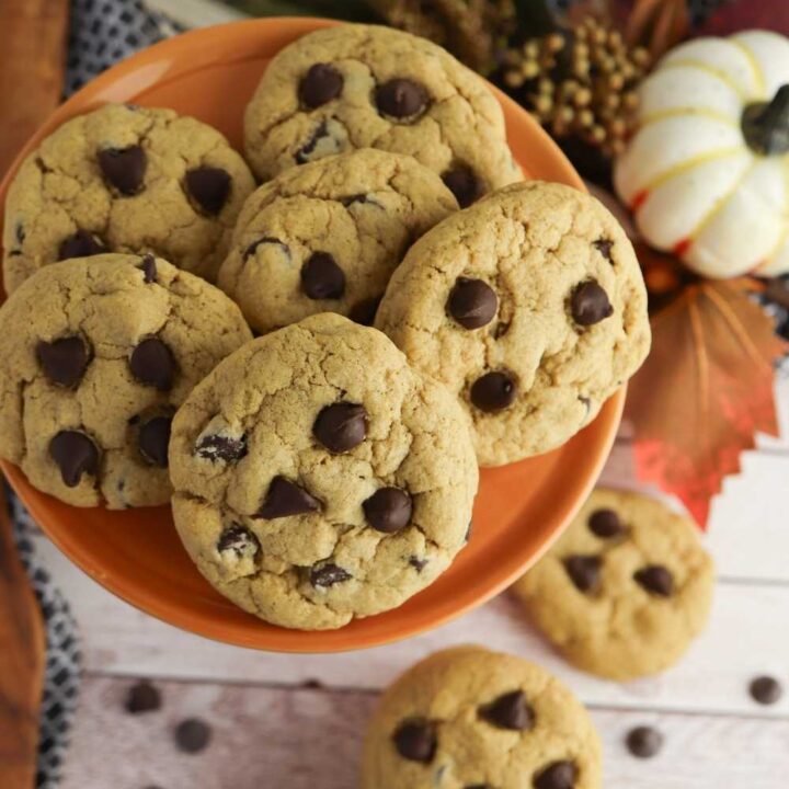 pumpkin cookie recipe with chocolate chips