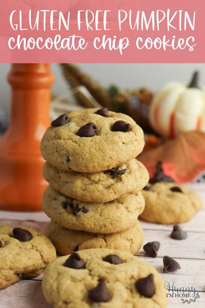 recipe for pumpkin chocolate chip cookies