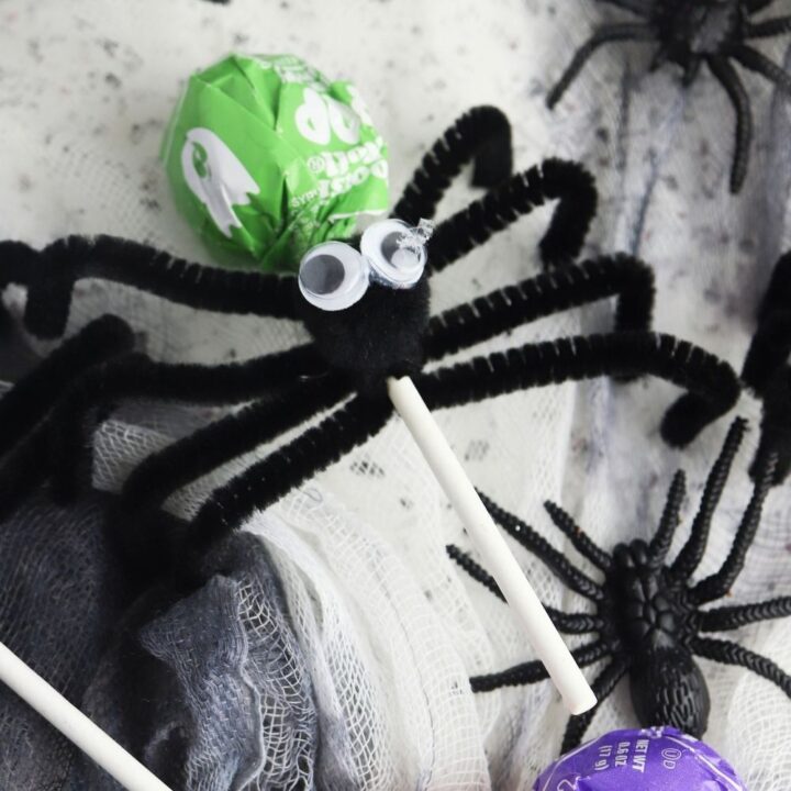 spider lollipop craft